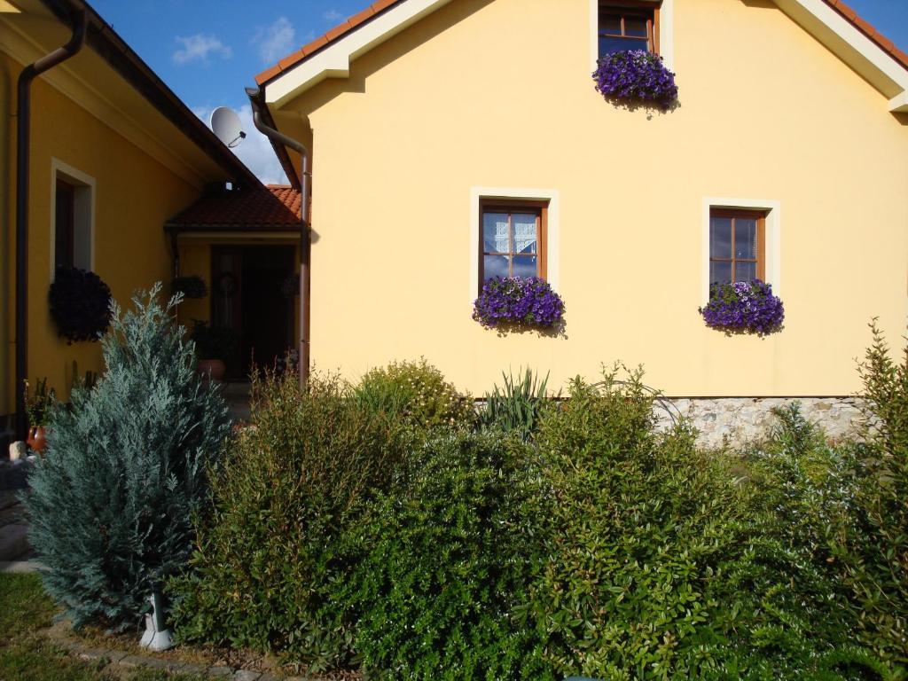 Apartman Augsten Český Krumlov Eksteriør billede